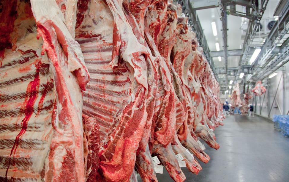 Exportações de carne podem fechar 2019 com resultado recorde