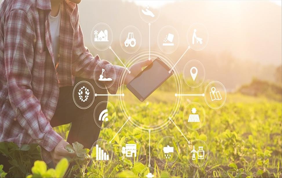 Pesquisa sobre agricultura digital aponta uso e expectativas dos produtores em relação às tecnologias